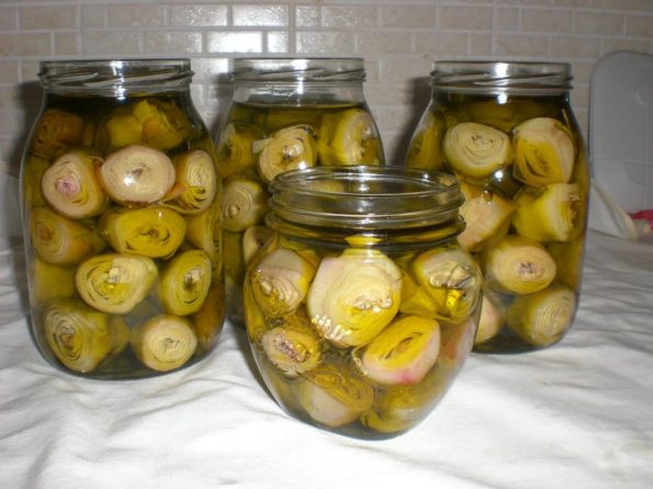 10177982_223650747834276_7830040158709793502_n