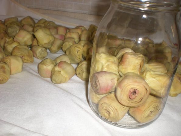 10250242_223650681167616_7921670908620260435_n