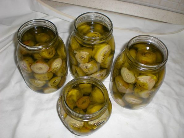 10275932_223650724500945_4887368699881817939_n