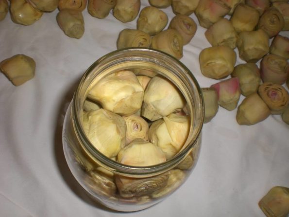 10300042_223650697834281_7753254241807355625_n