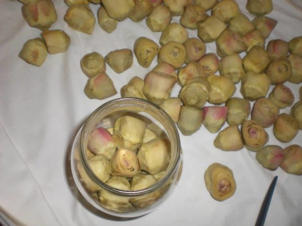 10300044_223650661167618_7347078672891492520_n