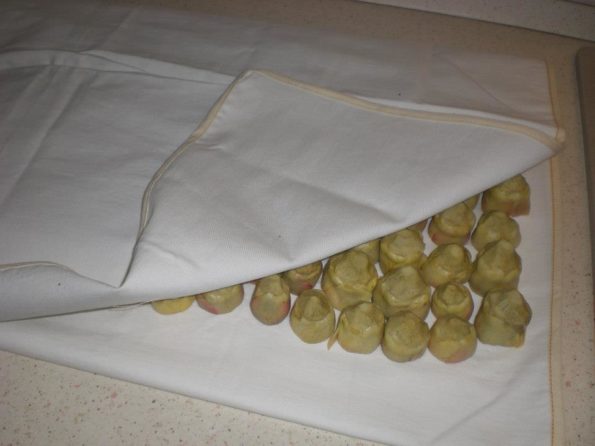 10311075_223650641167620_4672208115611457540_n