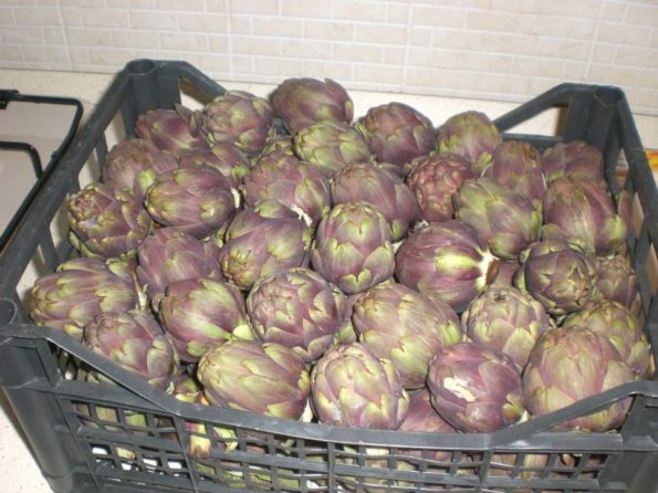 10314592_223650504500967_8857449996974619929_n