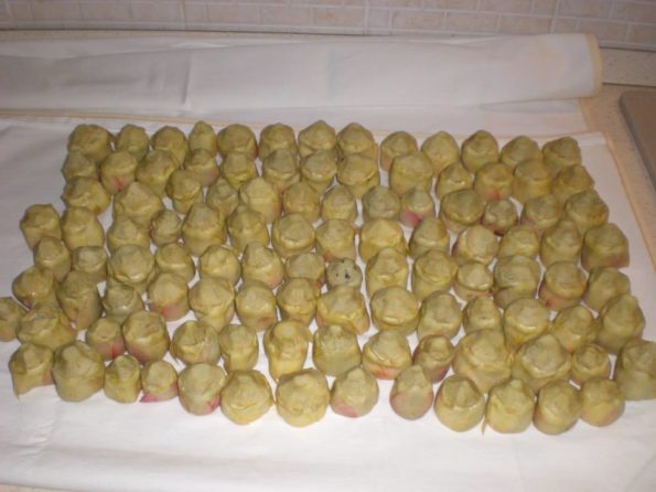 10322746_223650634500954_6203211568666168070_n