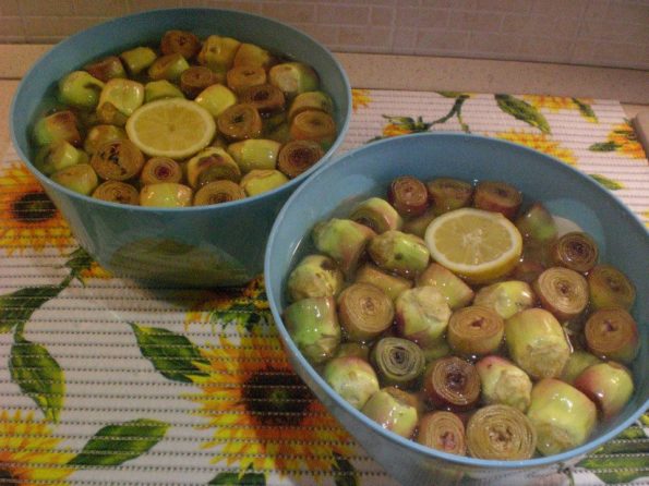 10325637_223650544500963_4180367302342603295_n