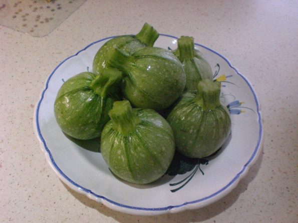 10370829_226017287597622_206432104812958158_n