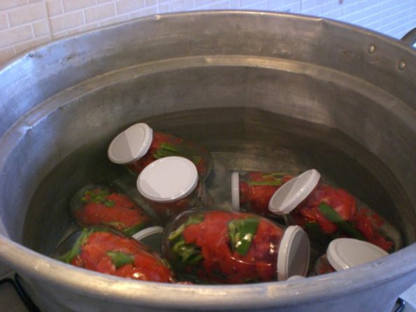 10403725_262937013905649_3415129153254127459_n