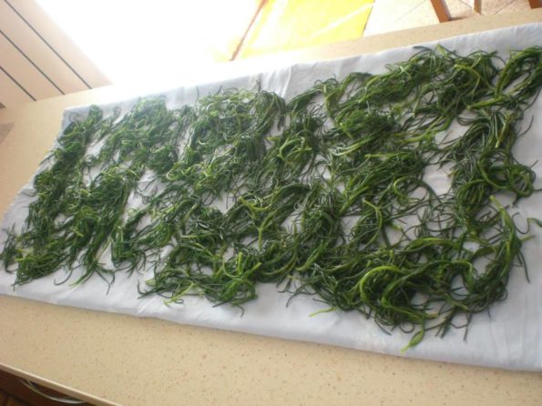 10411003_343158455883504_263782984019696702_n