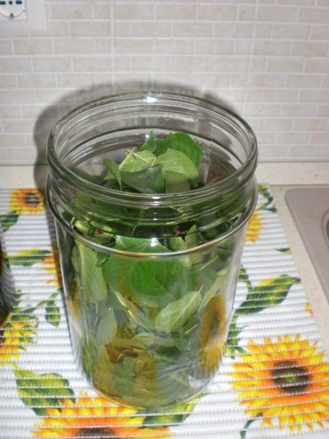 10418994_246199035579447_1496415765978804788_n