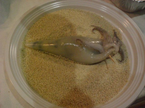 10520523_343643399168343_3755408445597694078_n1