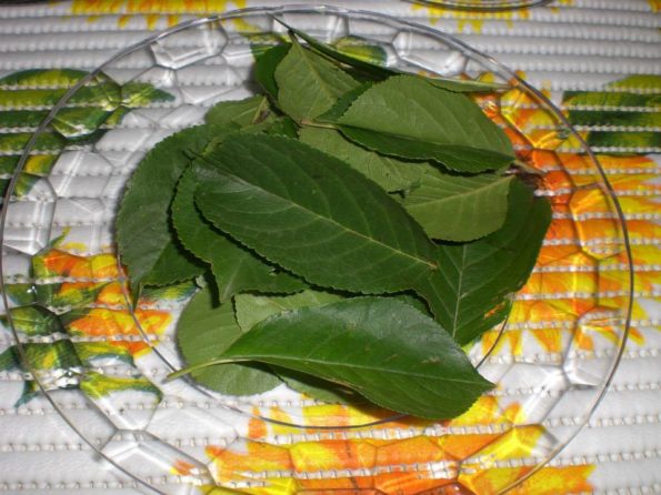 10565055_246199022246115_3049963094120761045_n-1