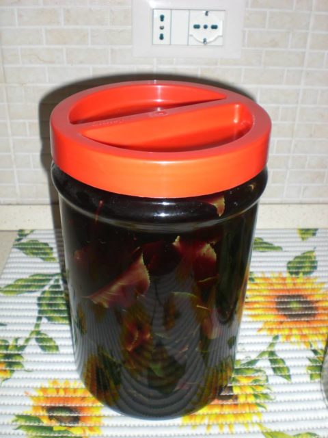 10603298_246199055579445_6408453824804417288_n-1