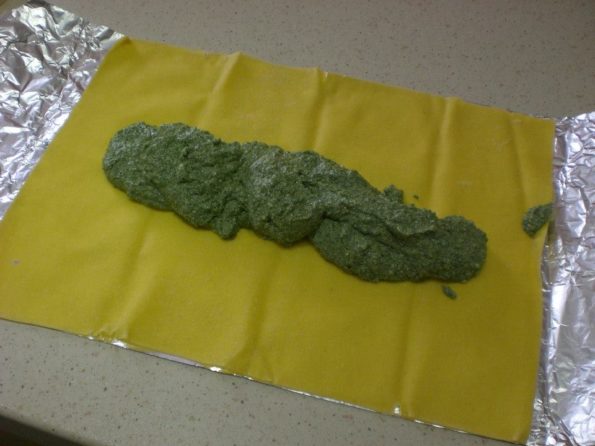 10689414_286044108261606_2929356201828528150_n