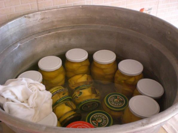 10696235_263919277140756_1372586136900791765_n