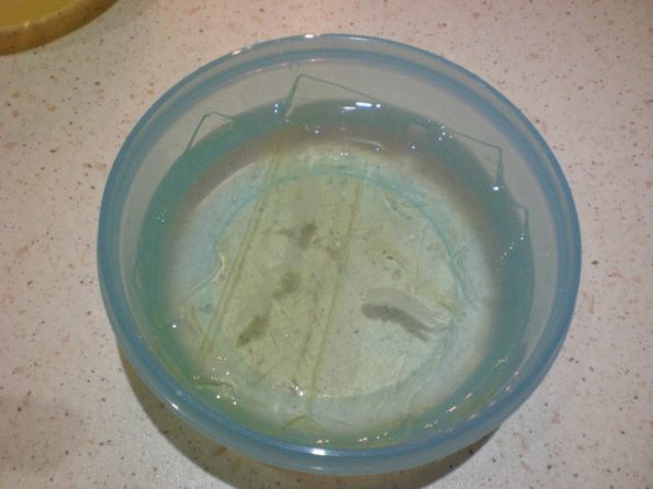 10849819_287810104751673_6407863725354337642_n