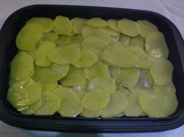 10930861_300102366855780_6341614196377274135_n