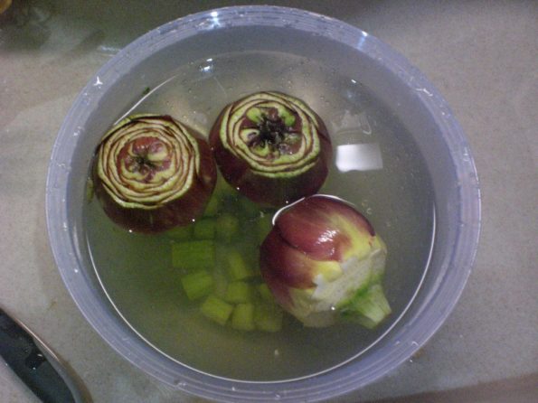 11036719_315072778692072_1790204931769792265_n