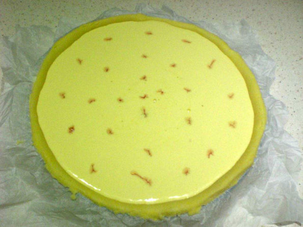 11041599_316743941858289_6961268610019330549_n