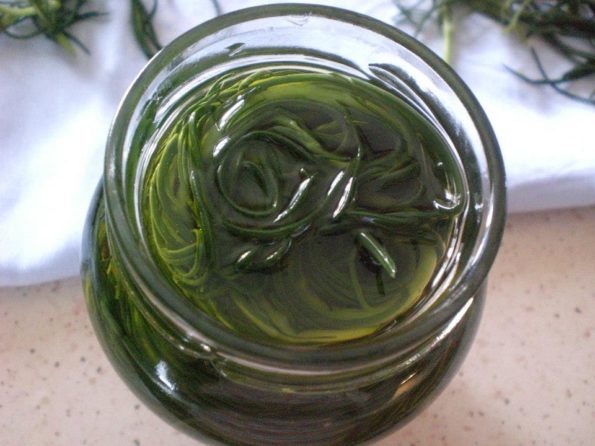 11128648_343158502550166_1729867999308624169_n