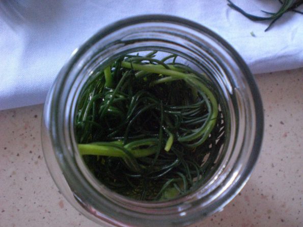 11136628_343158485883501_8825486085333455471_n