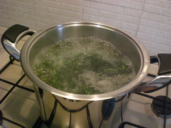 11143436_343158425883507_2871089152280248335_n