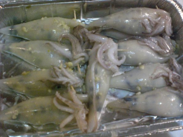 11259695_343643382501678_2734014884670007752_n