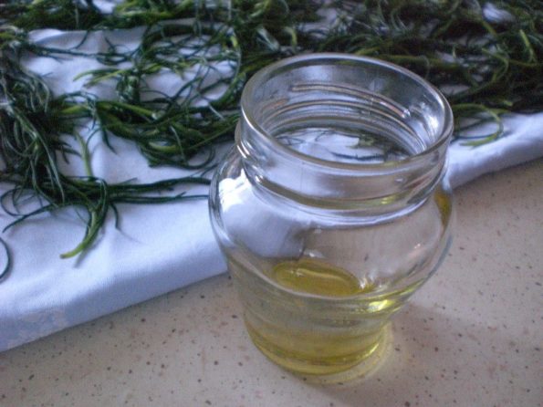 11330019_343158475883502_5510027579477828128_n