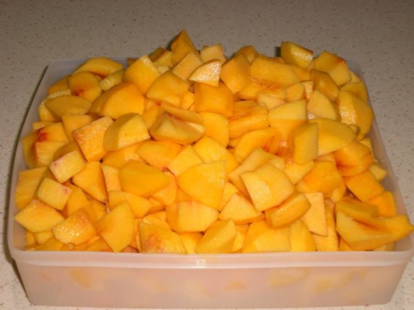 1455030_171698206362864_1925451016_n