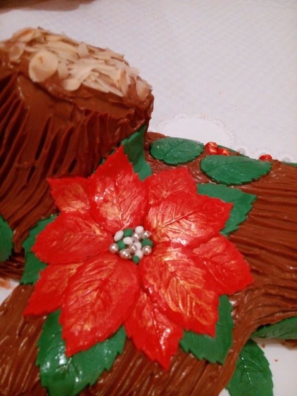 1509835_296685357197481_4931241266653336048_n