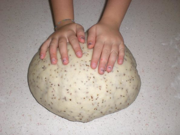 1512448_289433051256045_7637311775102453269_n