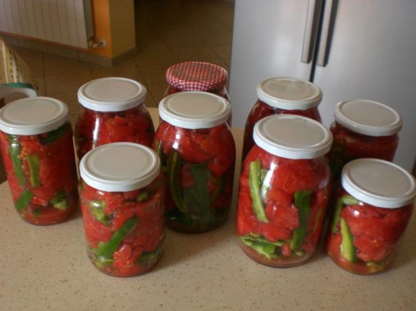 1743582_262936980572319_2430343165135230173_n