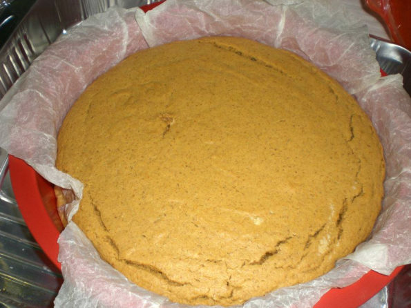 1903995_206729756193042_2089134978_n