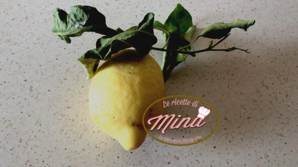 Cubetti di succo di limone