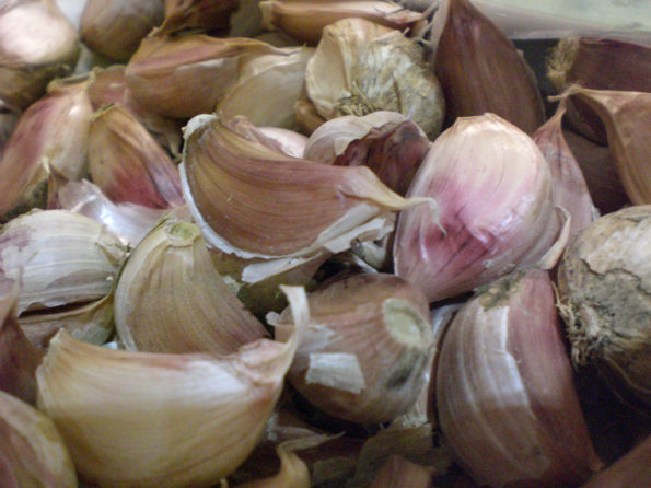 aglio1