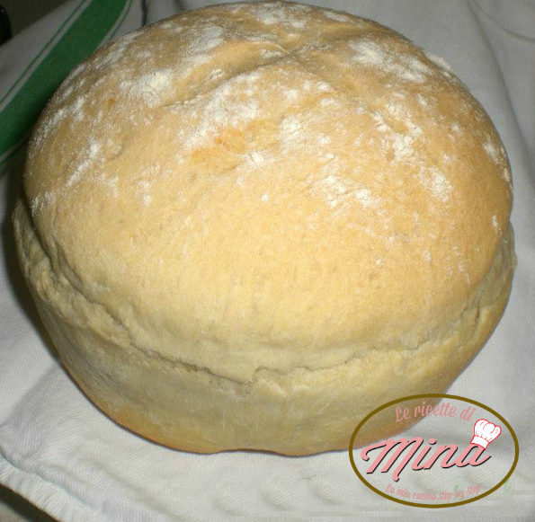 pane il mio impasto base