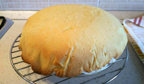 13730549_1167471253304796_2035532010_o