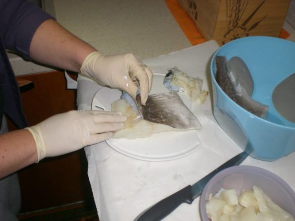 1798499_208888159310535_1208036365_n