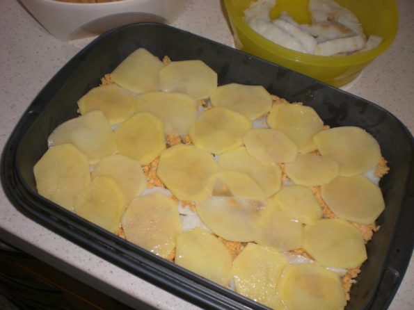 1975108_208888372643847_228007328_n