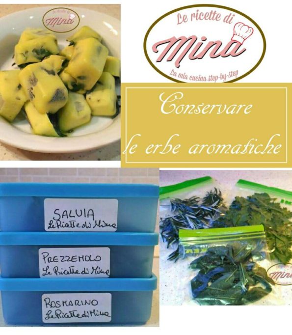 14075052_1571639683140014_357526321_o