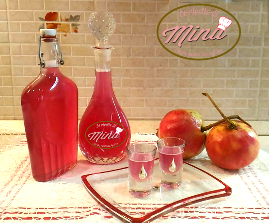 Liquore al melograno Le Ricette di Mina