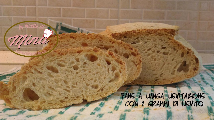 Pane A Lunga Lievitazione Con 2 Grammi Di Lievito Le Ricette Di Mina