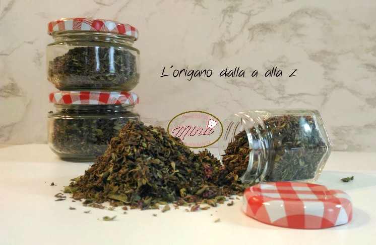 L'origano dalla a alla z