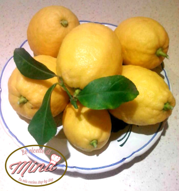 Il limone e i suoi mille usi guida pratica