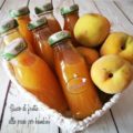 Succo di frutta alla pesca per bambini