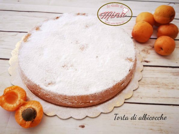 Torta di albicocche