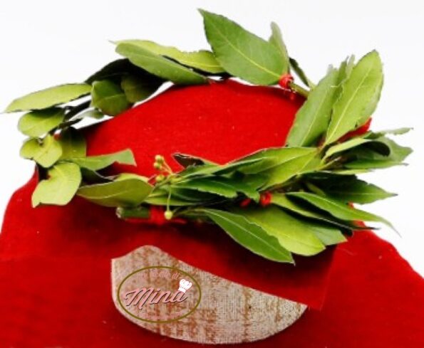 L'alloro: proprietà usi e conservazione