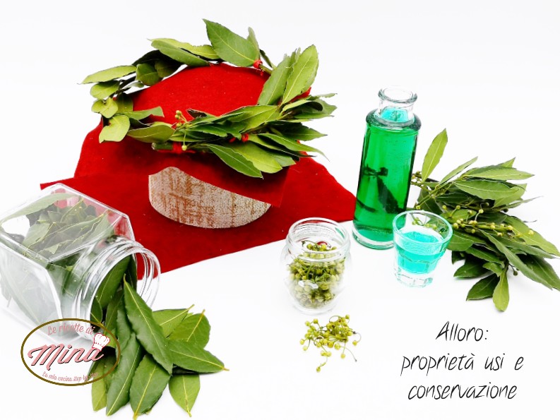 L'alloro: proprietà usi e conservazione