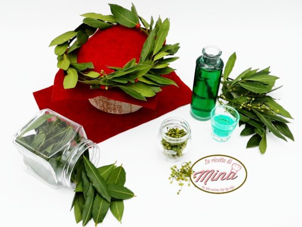 L'alloro: proprietà usi e conservazione