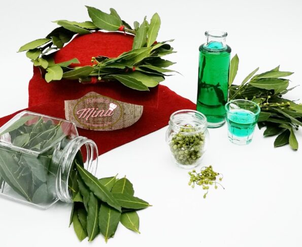 L'alloro: proprietà usi e conservazione